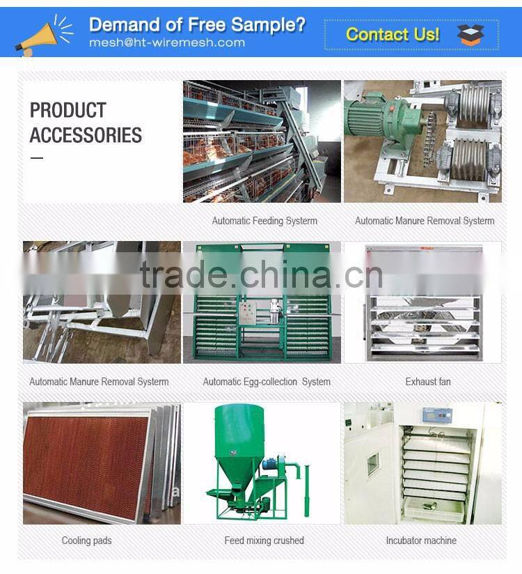 30 Years' factory supply automatic chicken broiler cages