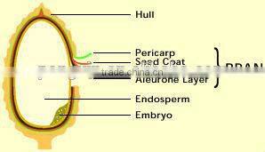Top quality continuous refining rice bran oil refinery mill