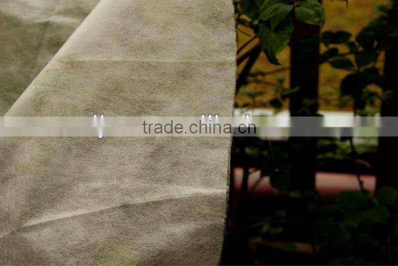 PP Nonwoven Fabric for Protect Crops