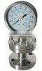 Flange Connection Diaphragm pressure Gauge