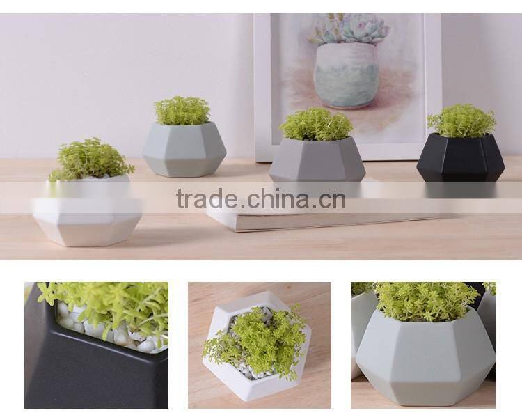 New deign small hexagon matte porcelain indoor decorative pots planters