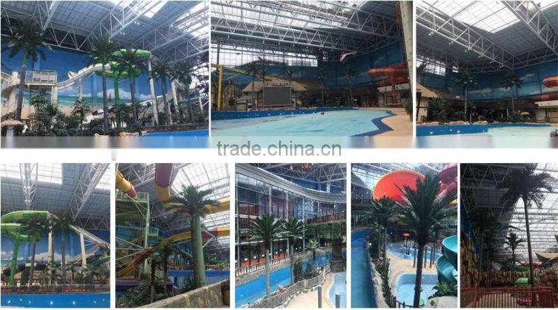 landscape tropical tree project big tree supplier