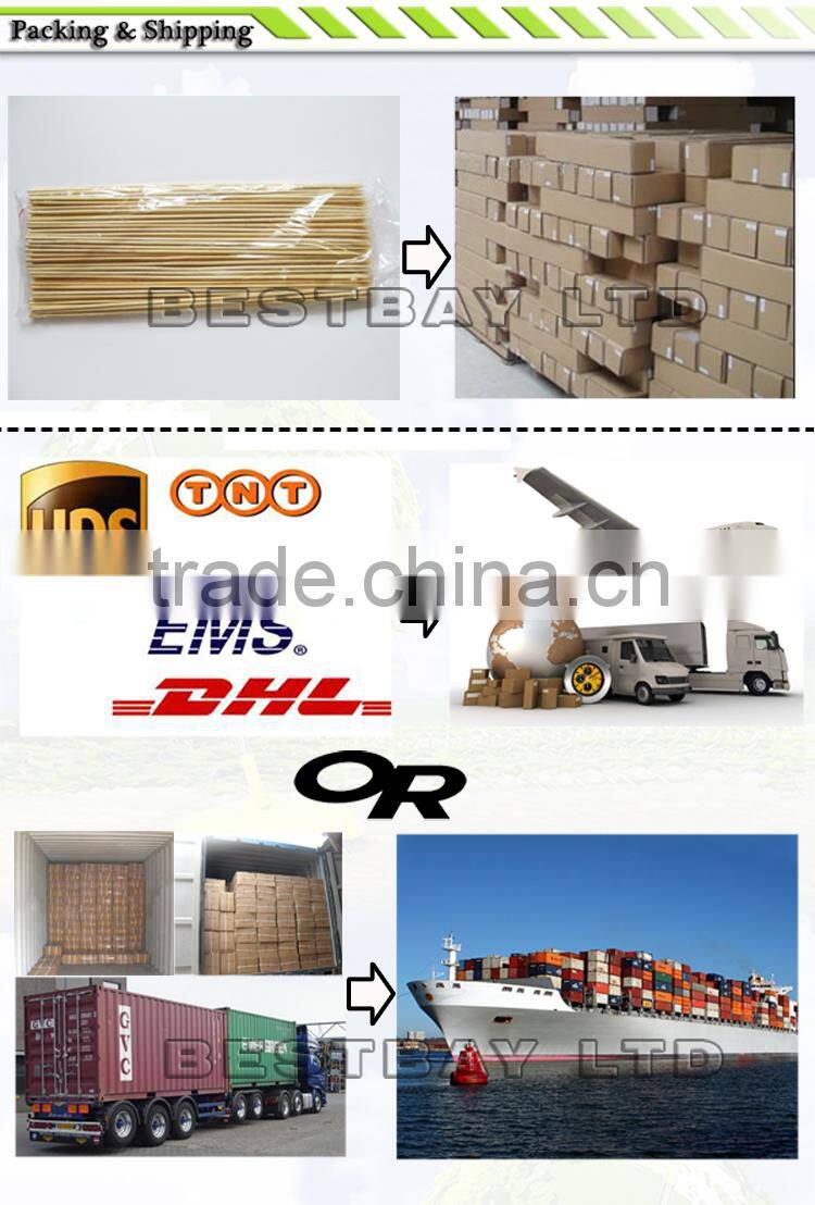 BBQ skewer,rotating bbq skewer for party