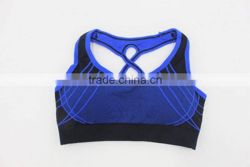Blue seamless sports bra /customized sports bra factory shantou
