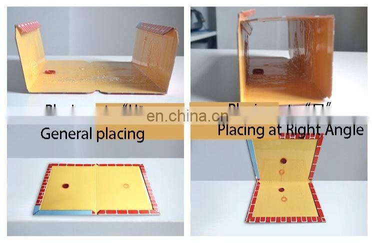 Household pest control sticky cardboard glue board trap for rats mouse