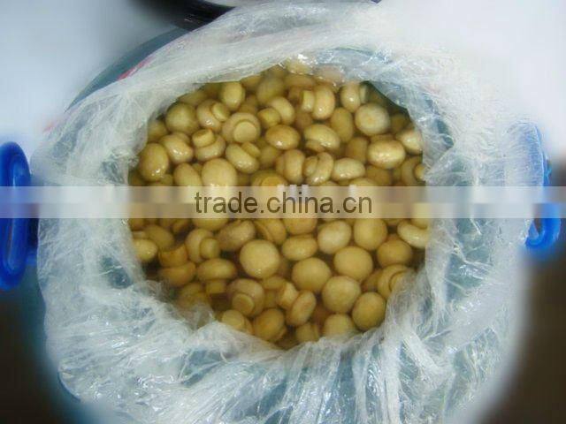 canned mushroom price