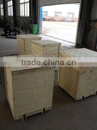 Stainless Steel Conveyor Belt Chain