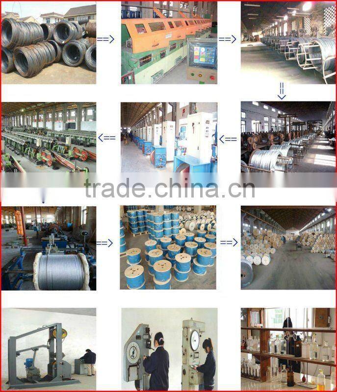 Steel Wire Rope