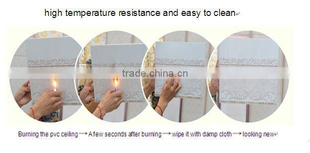 Plastic building material for interior decoration (haining factory)