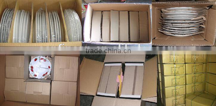 modern porcelain plate plain white