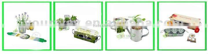 Mini Pyramid Garden, Flower Garden,Sunflower