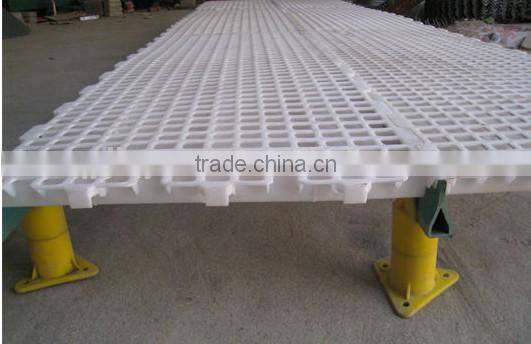 Poultry flooring for chicken farms, plastic slat for poultry farming equipment (Professional Manufacturer)