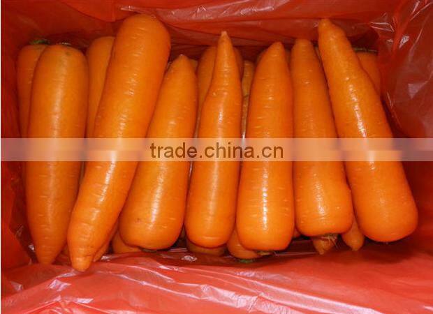 Chines Bulk Fresh Carrots Fresh Carrot Price