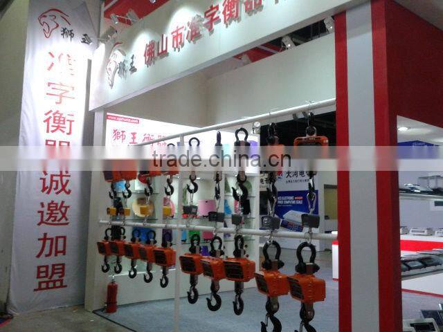 mini crane scale hanging scale