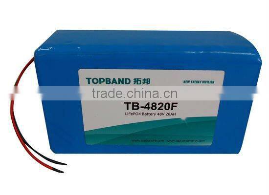 High quality electric motor lithium battery 48V20Ah+PCM TB-4820F