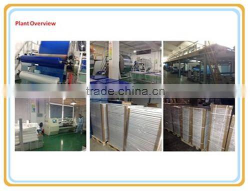 Blue White Clean Room LDPE Disposable Sticky Mat