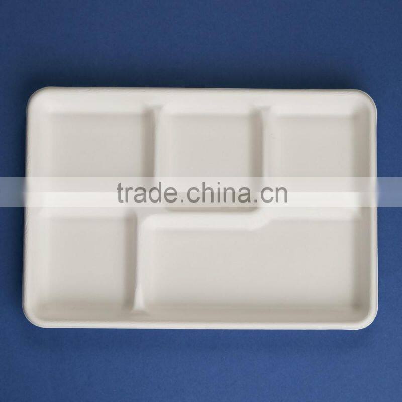 TY-06 12"x8" 5 compartments disposable food sugercane tray