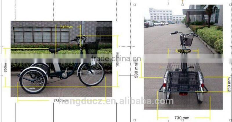 three wheeler electric vehicle for sale