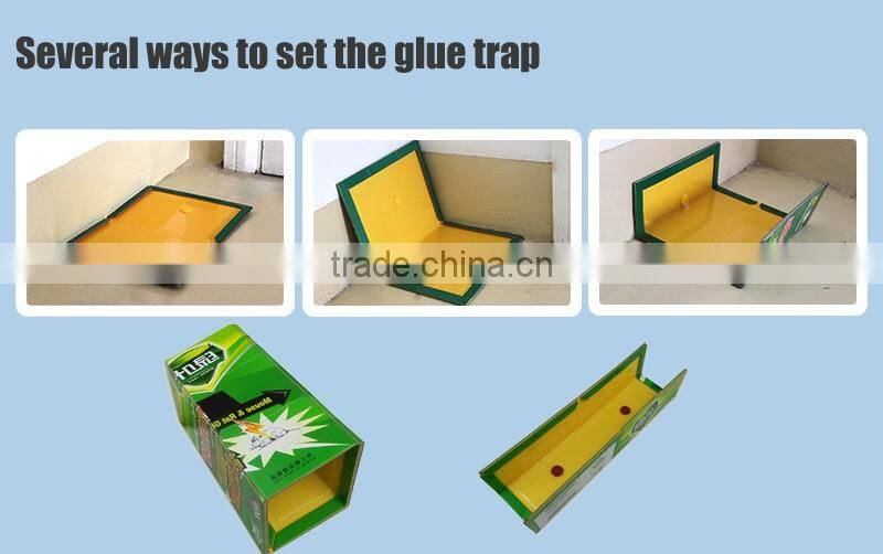 Rat Glue Trap Station HD03647