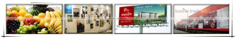 1.6m to 3.2m models Eco solvent galaxy brand printer