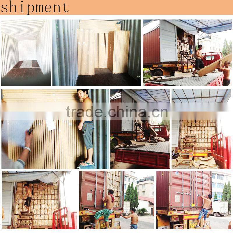 high quality and cheap price American steel security door with american standrad 2015