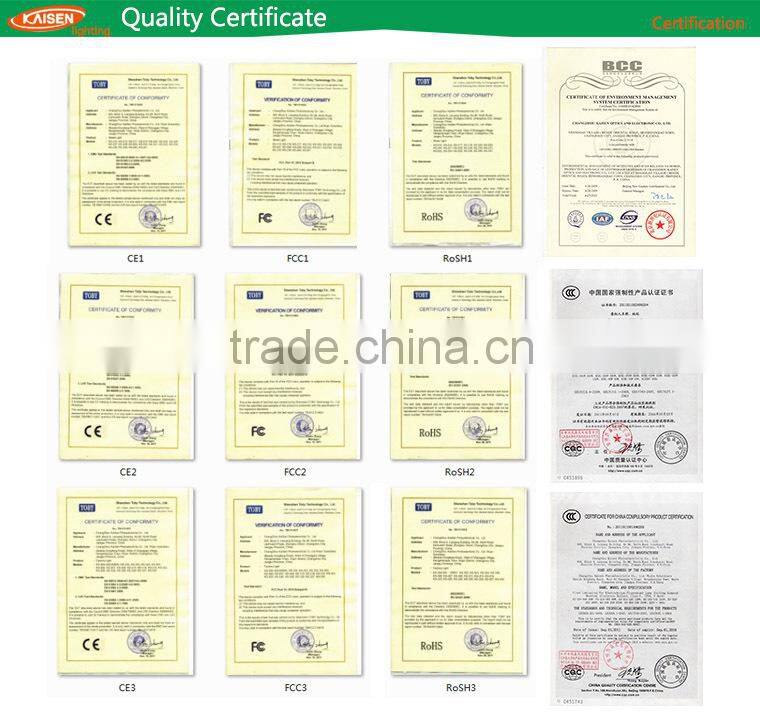 competitive price waterproof stainless steel CE ROHS IP65 LED garden light induction lamp