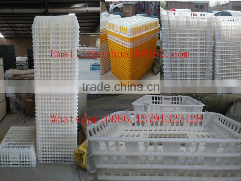 transport cage chicken
