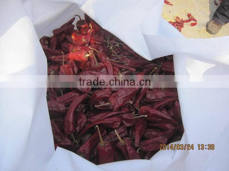 yidu chilli