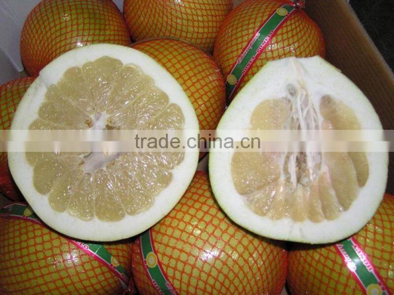 Professional fresh honey pomelo honey russia