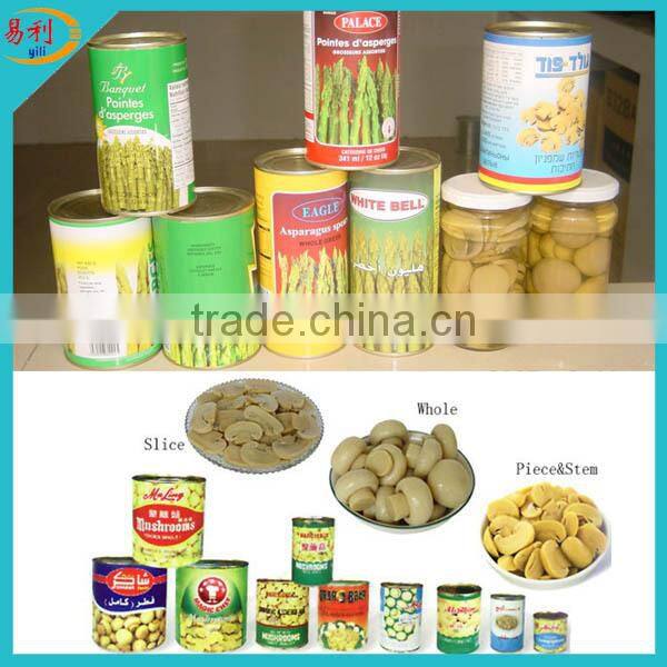 Hot selling canned champignon mushroom