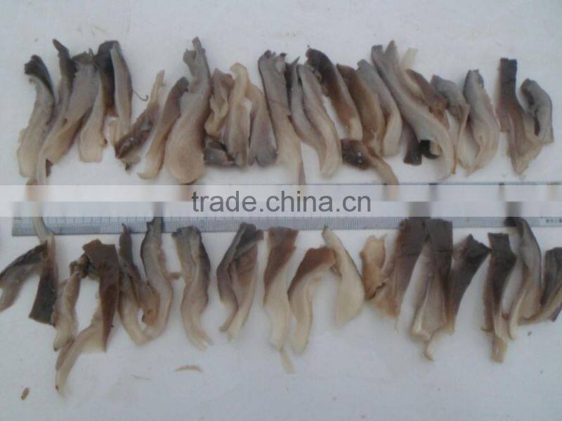 Pleurotus Mushrooms brine oyster mushroom king oyster mushroom