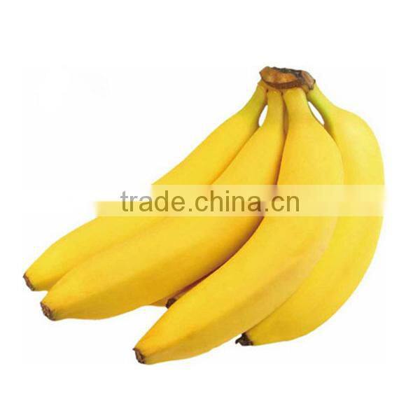 Lifelike plastic green apple / PVC artificial apples for display or children's early learning