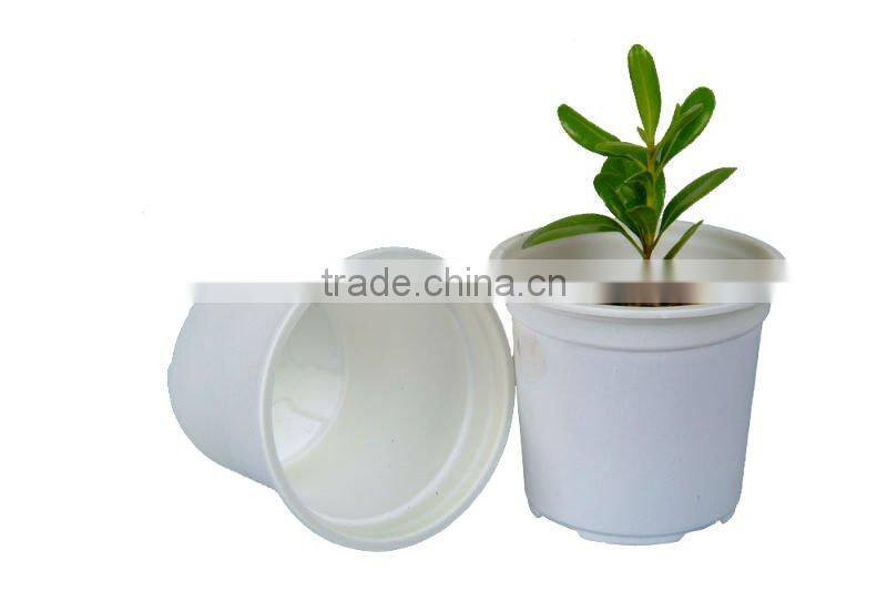 Biodegradable disposable plastic plant pot