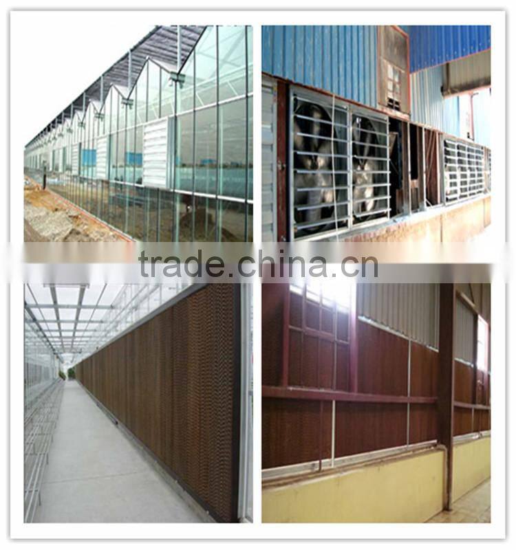 Greenhouse Ventilation 1000mm/1100mm/1380mm Exhaust Fan