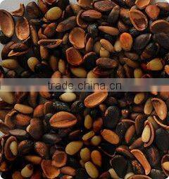 Intelligent automatic peanut color sorter