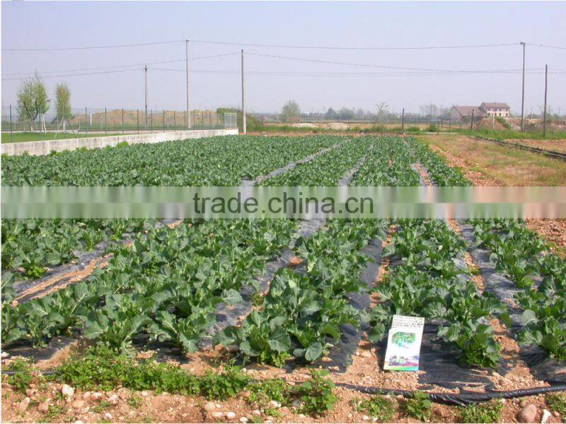 High Quality Sodium Humate Fine Powder For Vegetable or plants and animals