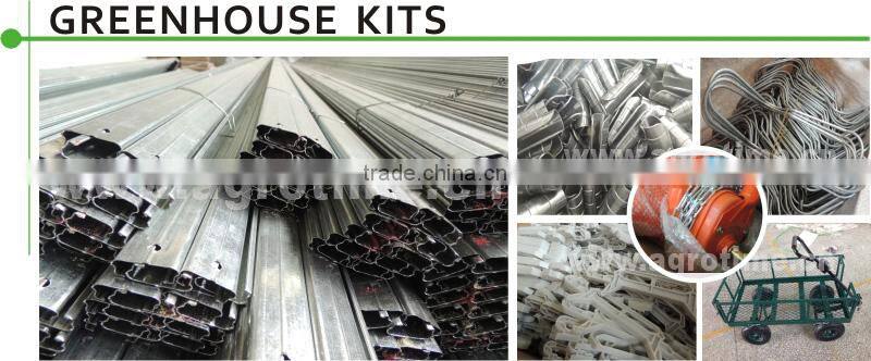 Hydroponic glass Greenhouse