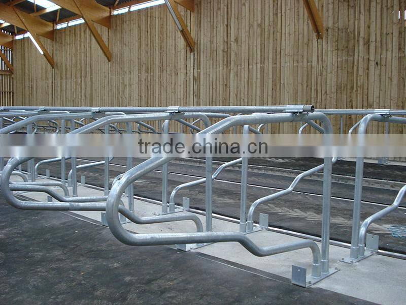 Galvanized Cattle Loop Stalls for livestock farm