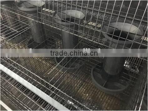 cages rabbit the new rabbit cage equipment