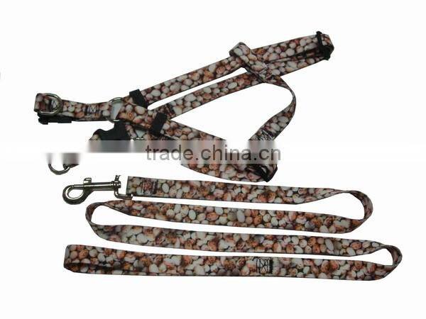 private label pet products / pet dog leashes and collars