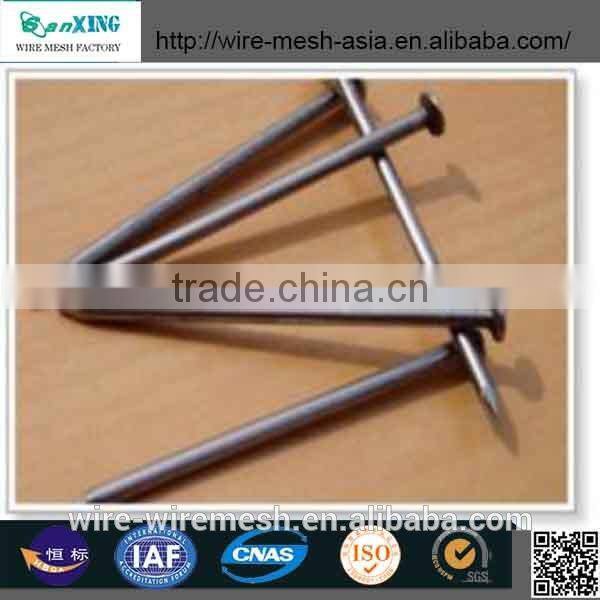 Polished Common Nail (Factory)