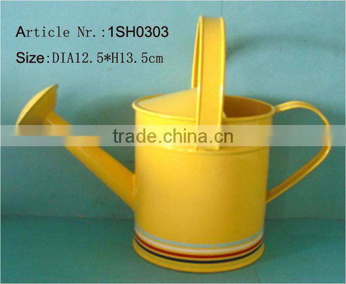 5L Garden water can powder coated