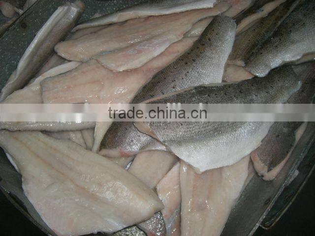 frozen japanese seabass fillet