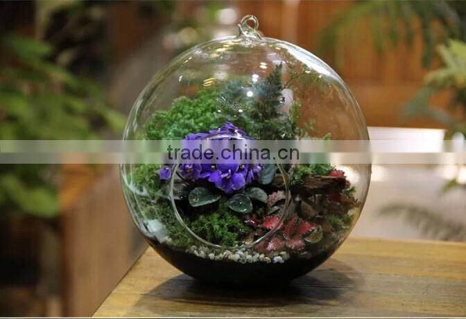 Modern Hanging Clear Round Crystal Glass Vase Flower Balls Terrarium Vases For Wedding Decoration Dia 8 cm