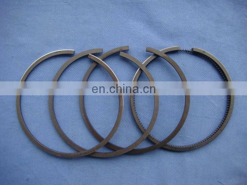 FAYN EM190 Engine Auto Piston Ring Diesel Engine Parts
