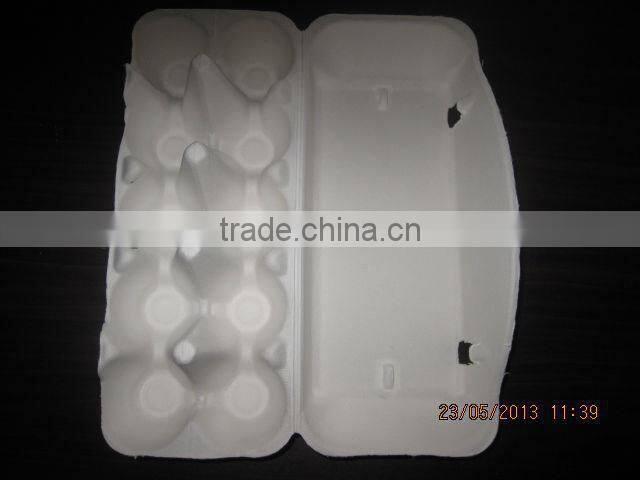 10 Eggs Sugarcane Fiber Moulded Pulp Chicken Egg Tray