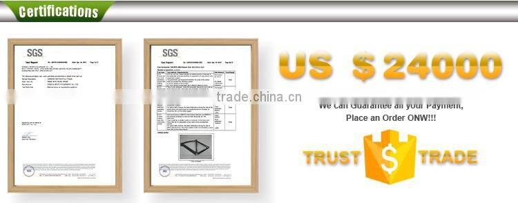 Dengfu FM208 super light frame bike with nice design