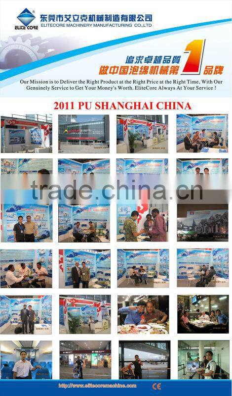 2015 ECMT-141 high qualitysponge / foam plate making machine