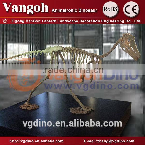 Zigong fiberglass skeleton dinosaur