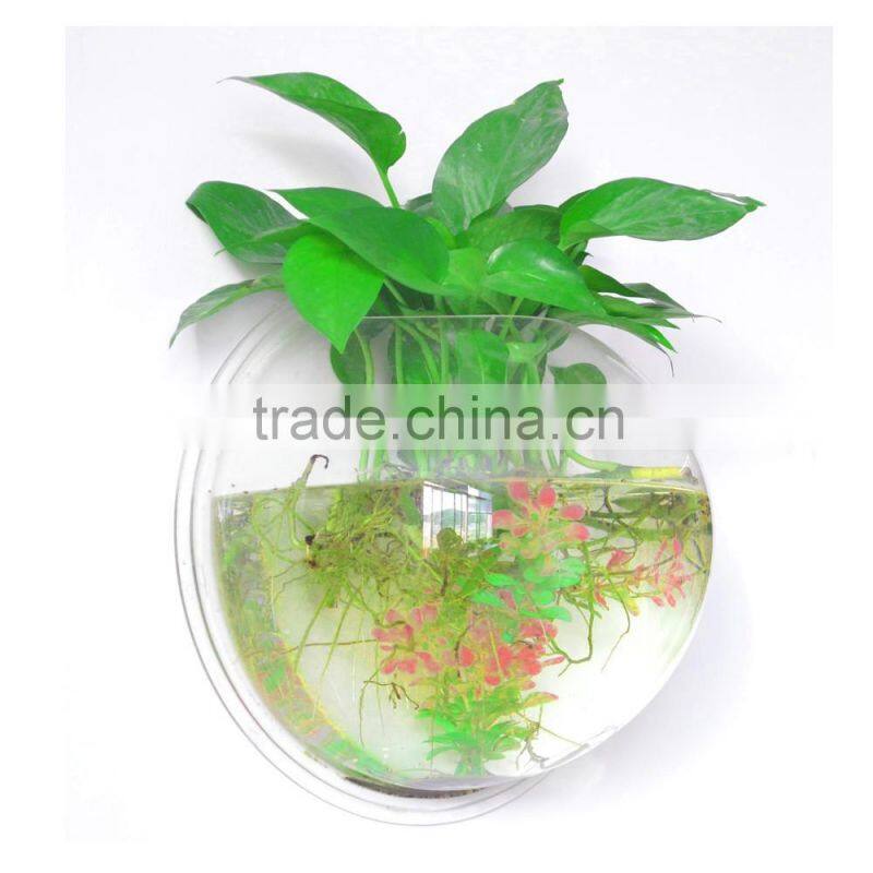 ecofriendly decorative wall mounted clear acrylic aquarium